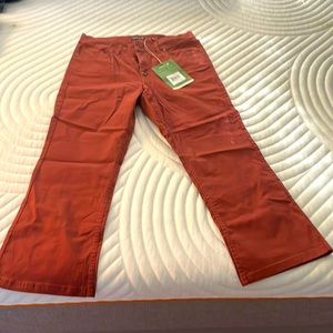 Toad & Co Twill pants NWT